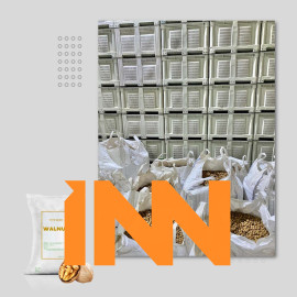 CHILEAN WALNUT – WHOLESALE NATURAL, HIGH-QUALITY SERR & CHANDLER WALNUT VARIETIES